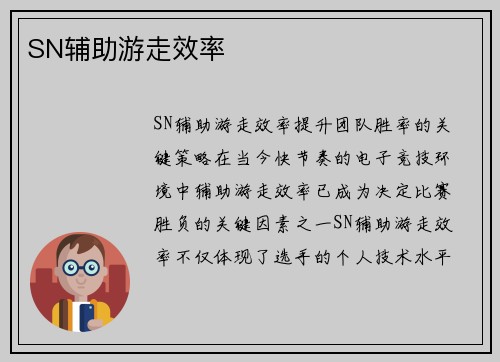 SN辅助游走效率