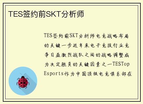 TES签约前SKT分析师